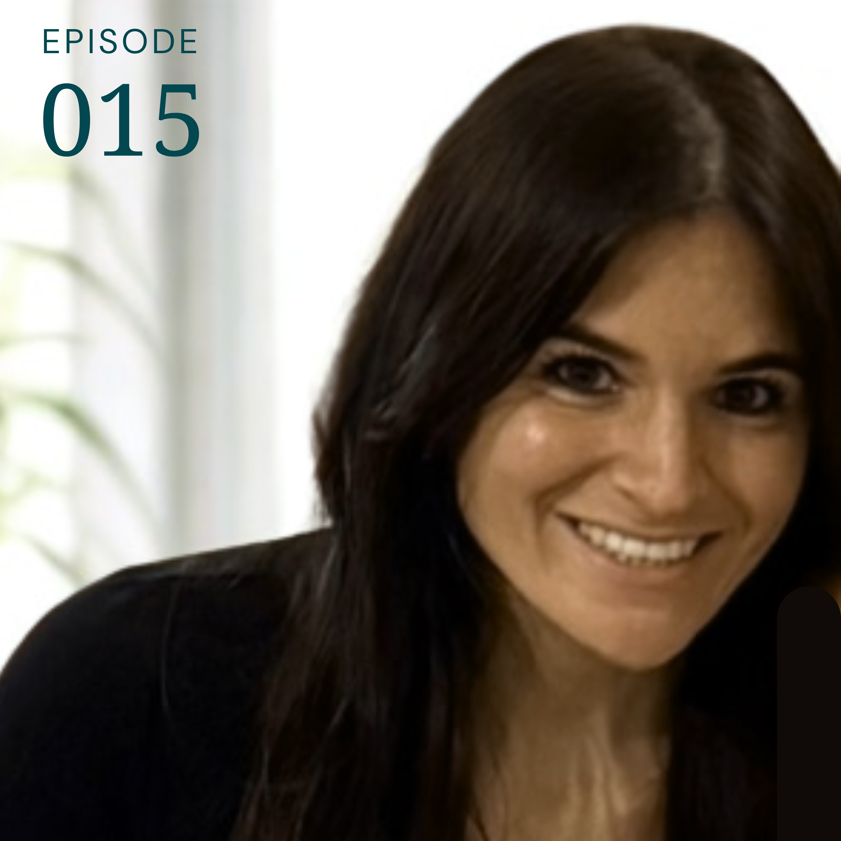 Updated Podcast Art Updated Podcast Art